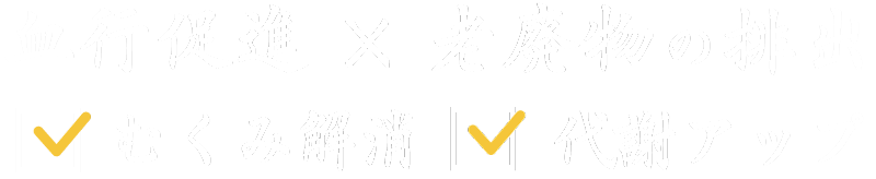 血行促進×老廃物の排出→むくみ解消、代謝アップ